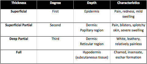 Burns Overview and Comparison Burns Overview and Comparison