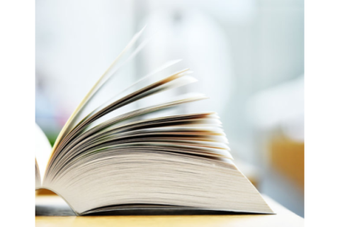 Important Terms to Know: Venous Leg Ulcers